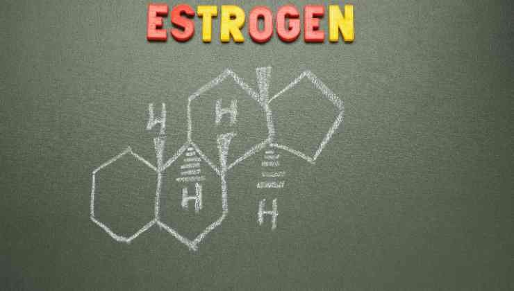 estrogen dibujo 