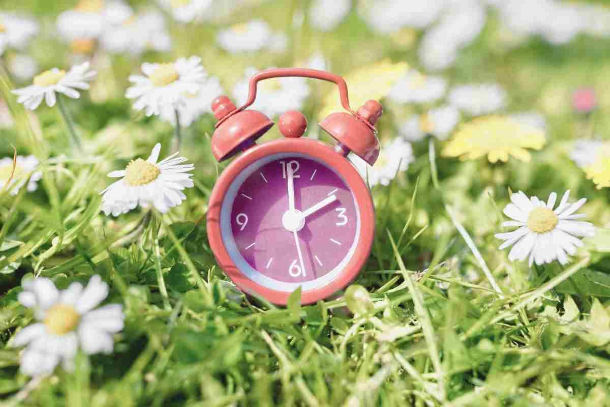 reloj entre flores